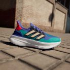 Adidas Ultra Boost 5 Cobalt Blue