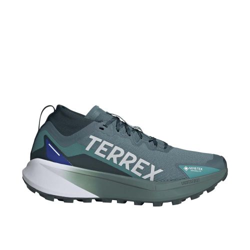 Adidas Terrex Agravic Gore-Tex Trail Teal Cloud