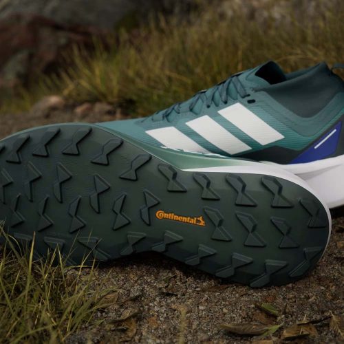 Adidas Terrex Agravic Gore-Tex Trail Teal Cloud