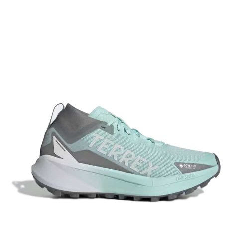 Adidas Terrex Agravic GTX Trail Turquoise