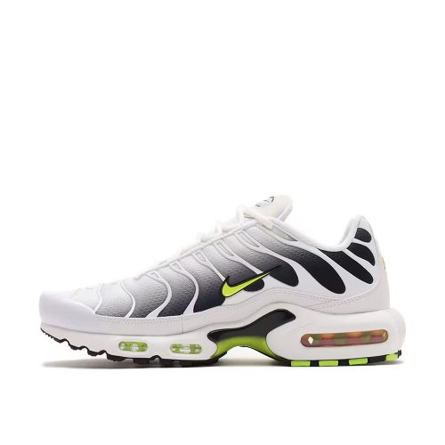 Nike Air Max Plus White Neon Metallic Silver