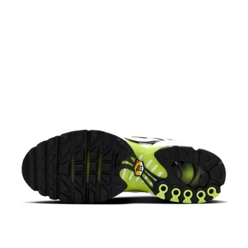 Nike Air Max Plus White Neon Metallic Silver