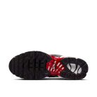 Nike Air Max Plus Pure Platinum Black