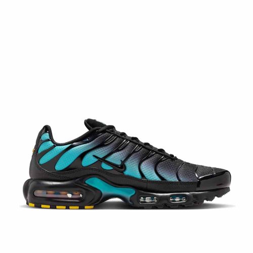 Nike Air Max Plus Black Dusty Cactus
