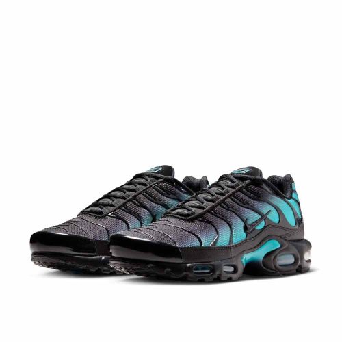 Nike Air Max Plus Black Dusty Cactus
